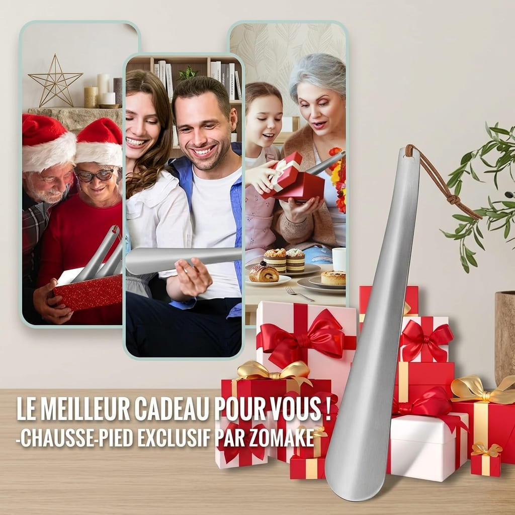 Chausse-Pied Long 30 cm en Acier Inoxydable